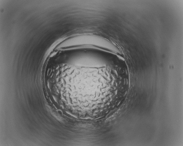 X0000083590147200702231730