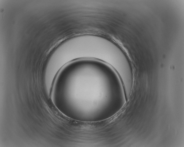 X0000083590154200702231730
