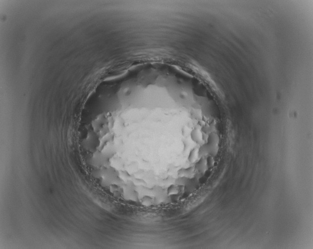 X0000083590161200702231730