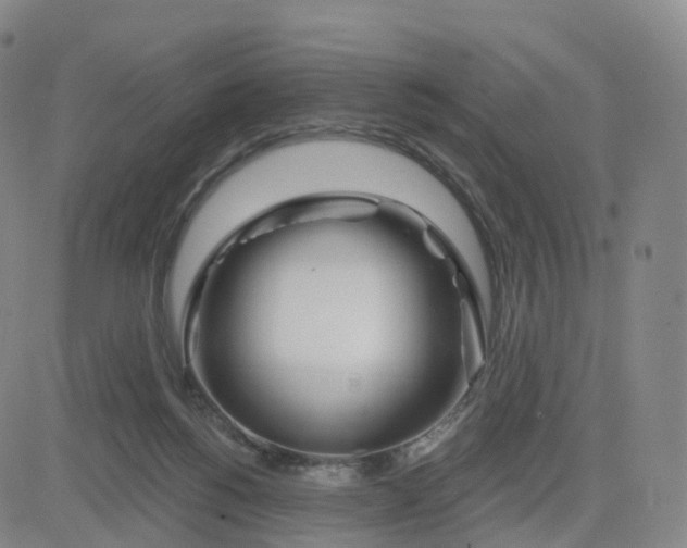 X0000083590168200702231730