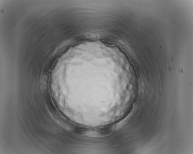 X0000083590171200702231730