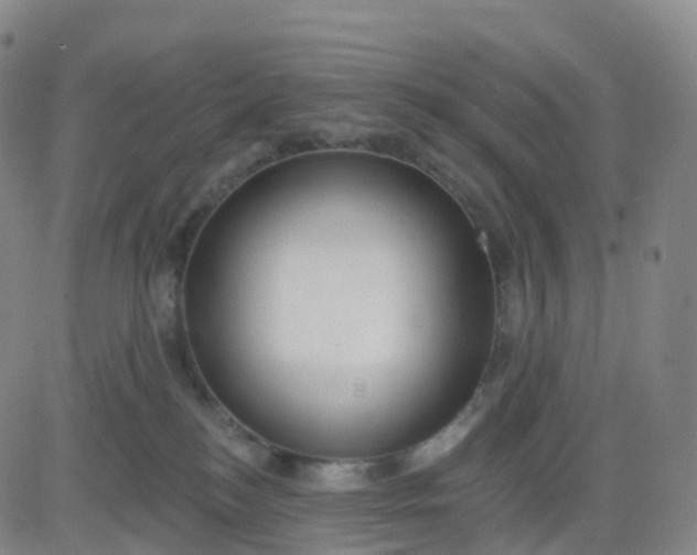 X0000083590184200702231730