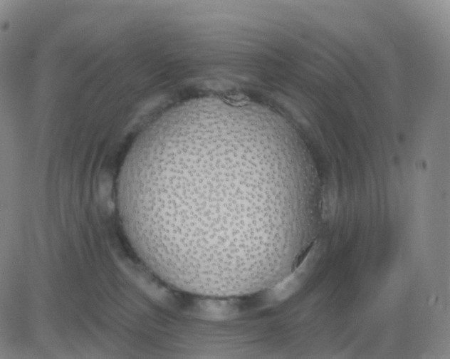 X0000083590187200702231730