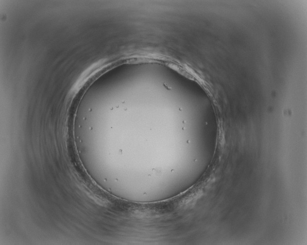 X0000083590199200702231729