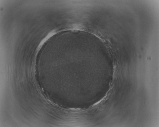 X0000083590200200702231729