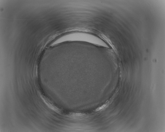 X0000083590205200702231729