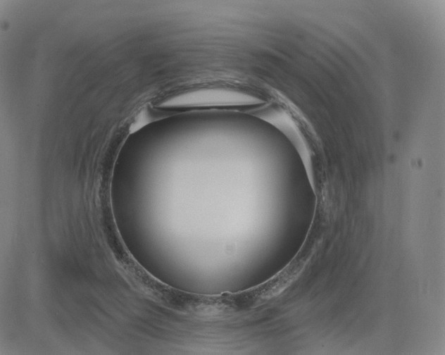 X0000083590209200702231729