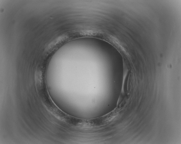 X0000083590211200702231729