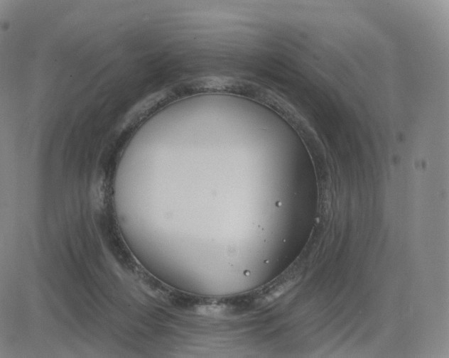 X0000083590216200702231729