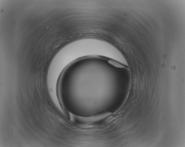 X0000083590219200702231729