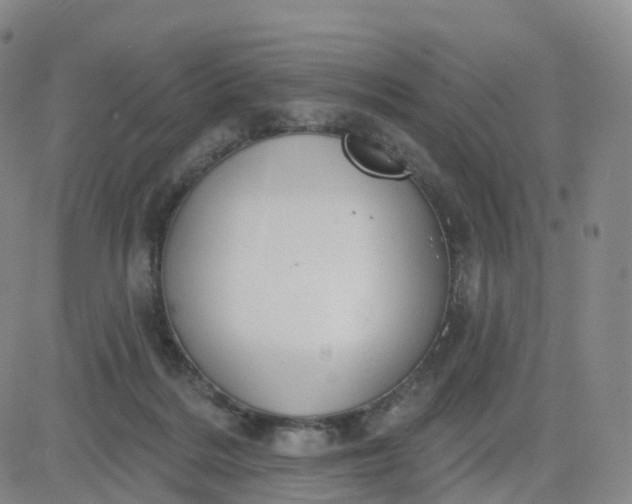 X0000083590220200702231729