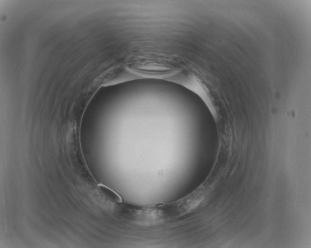 X0000083590225200702231729