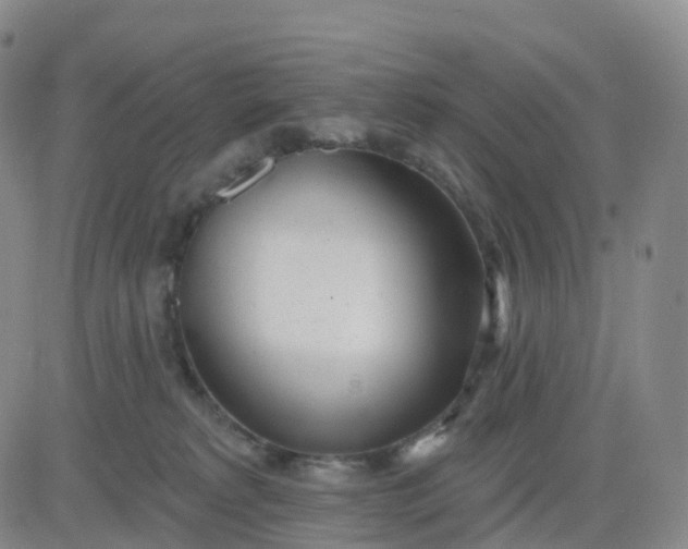 X0000083590229200702231729