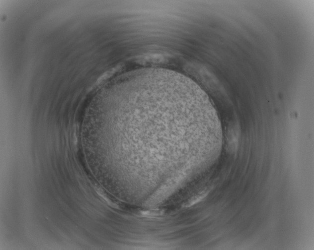 X0000083590232200702231729