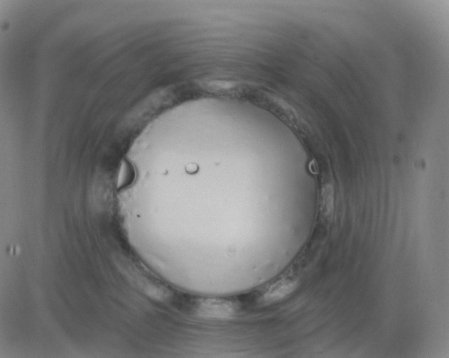 X0000083590234200702231729