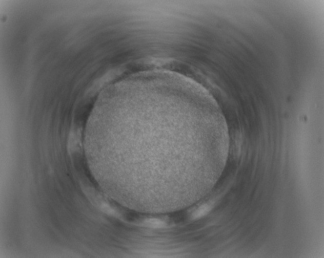 X0000083590236200702231729