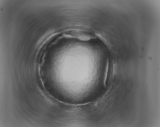 X0000083590243200702231728
