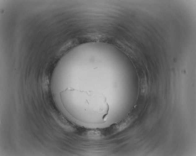 X0000083590279200702231729