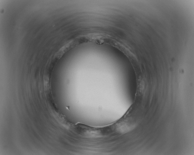 X0000083590283200702231729