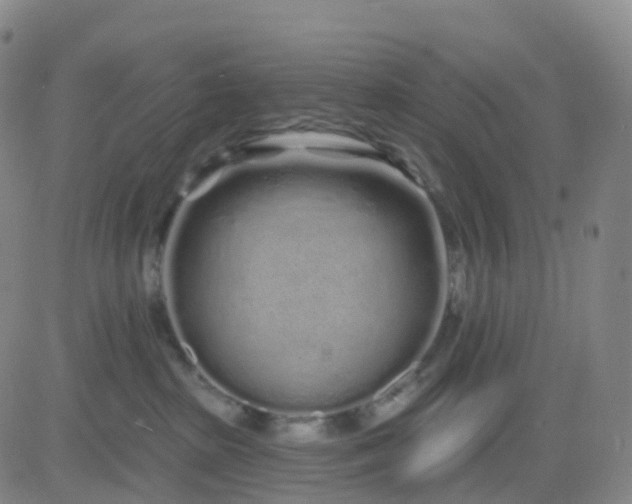 X0000083590285200702231729