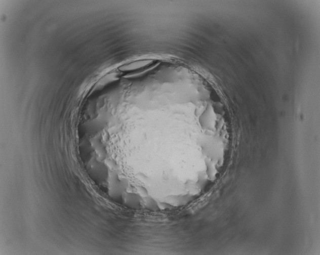 X0000083590337200702231726