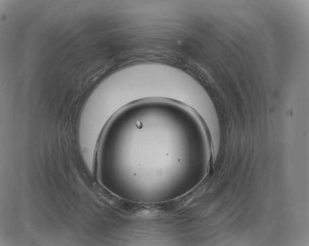 X0000083590364200702231727