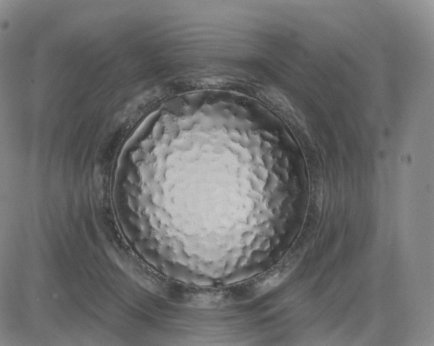 X0000083590366200702231727