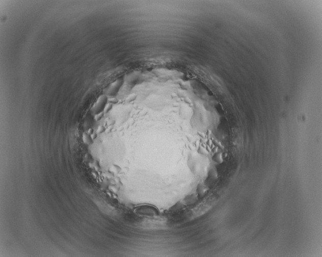 X0000083590369200702231727