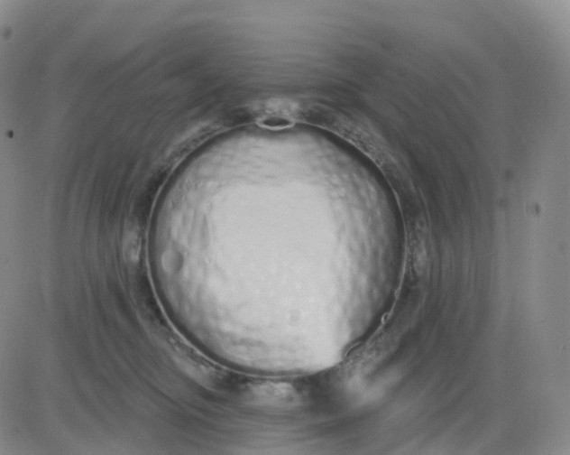 X0000083590374200702231727