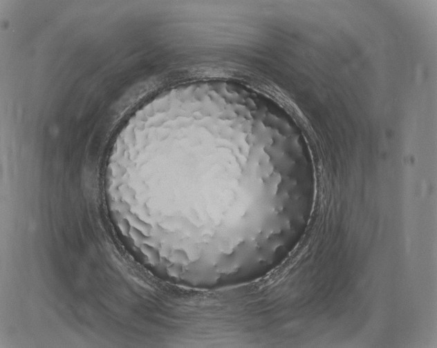 X0000083590386200702231726