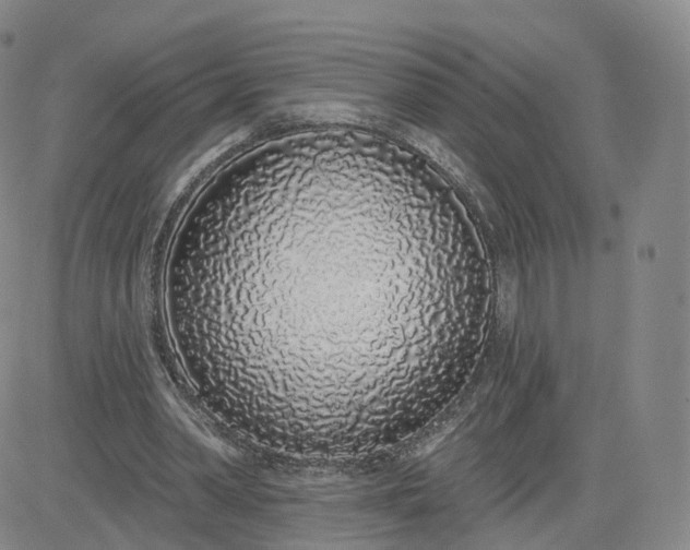 X0000083590390200702231726