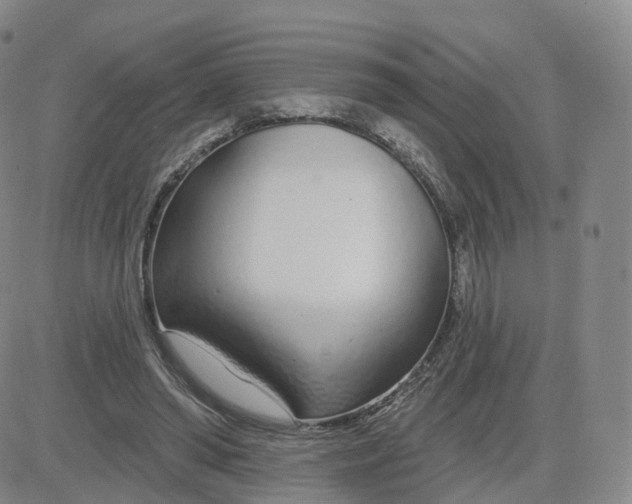 X0000083590398200702231726