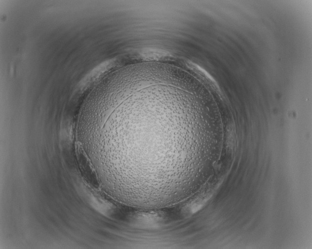 X0000083590405200702231726
