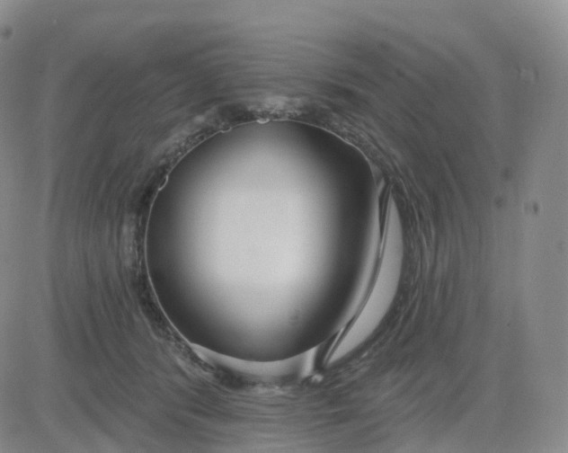 X0000083590416200702231726