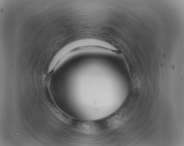 X0000083590420200702231726