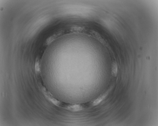 X0000083590431200702231726