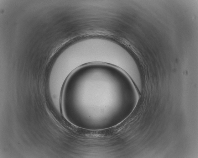 X0000083590448200702231725