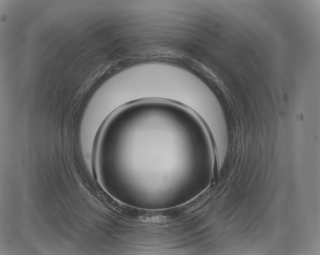 X0000083590452200702231725