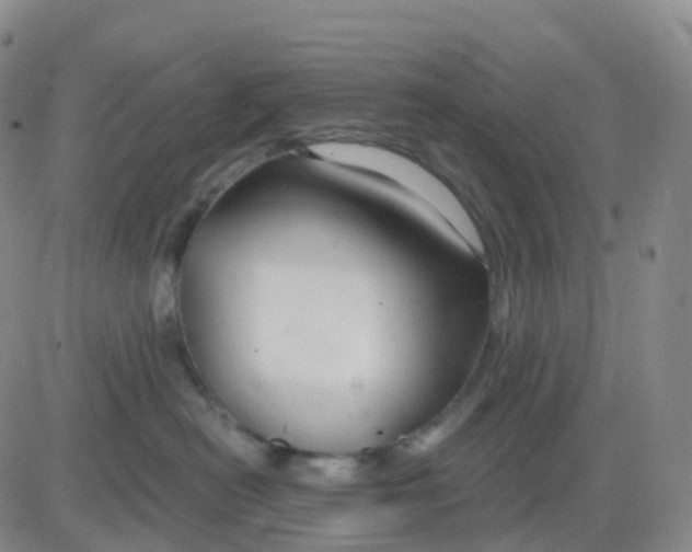 X0000083590478200702231725