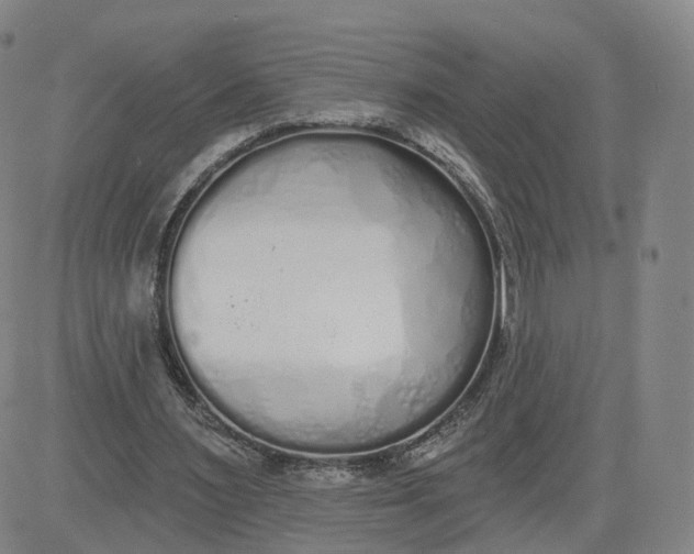 X0000083590483200702231725
