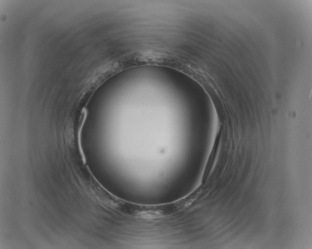 X0000083590508200702231724