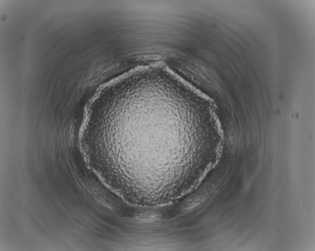 X0000083590551200702231723