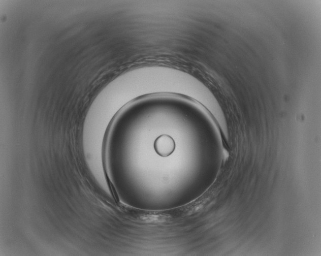X0000083590558200702231724