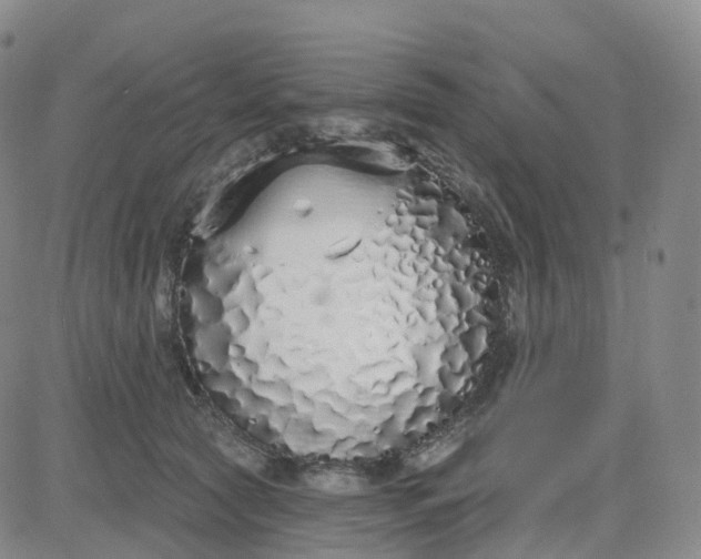 X0000083590561200702231724