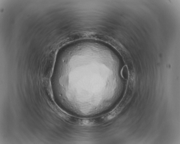 X0000083590565200702231724
