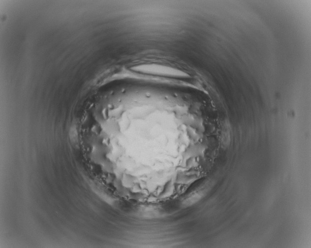 X0000083590573200702231724