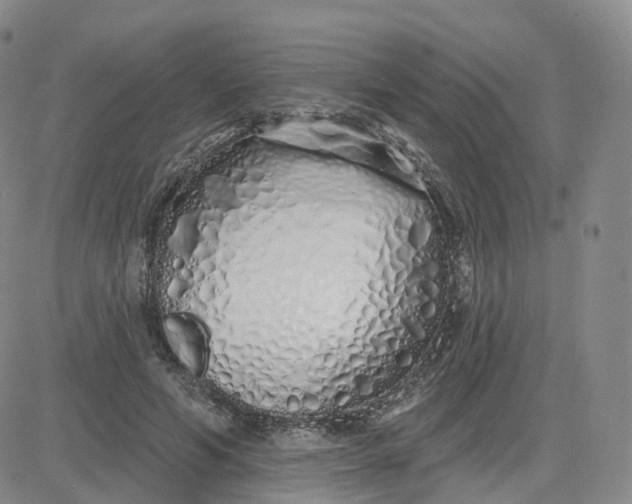 X0000083590594200702231723