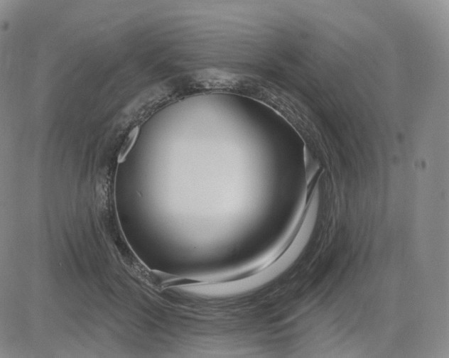 X0000083590604200702231723