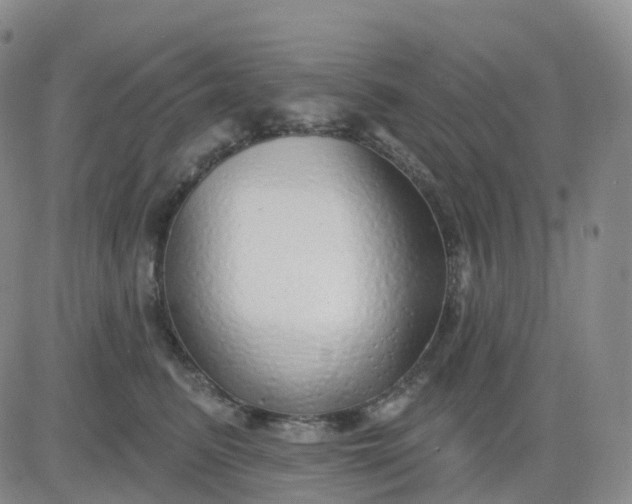 X0000083590615200702231722