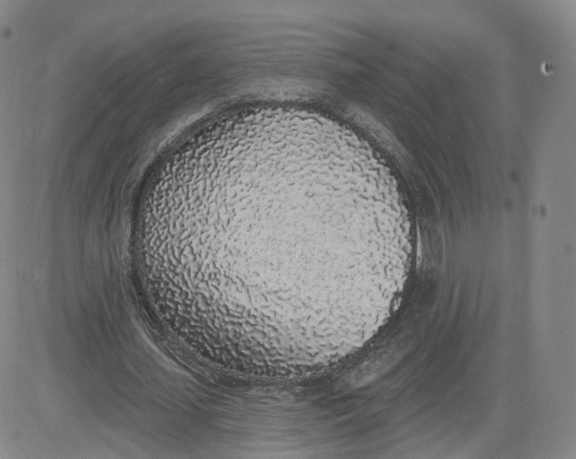 X0000083590627200702231722